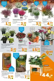 Globus Baumarkt Prospekt woche 38 Seite 5