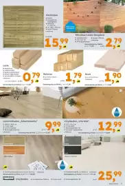 Globus Baumarkt Prospekt woche 38 Seite 7