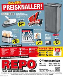 Repo Markt Prospekt woche 38 Seite 12