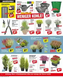 Repo Markt Prospekt woche 38 Seite 6