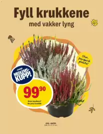 Coop Prix kundeavis uke 38 Side 12: Coop Lyng - Quatro €99,90