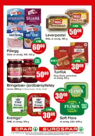Spar kundeavis Side 9: Leverpostei €50,00, Tunfisk €30,00