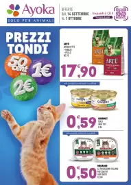 Volantino Ayoka Pagina 1