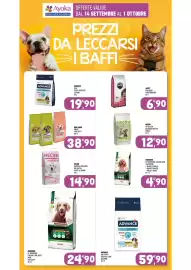 Volantino Ayoka Pagina 10