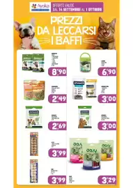 Volantino Ayoka Pagina 11