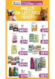 Volantino Ayoka Pagina 13