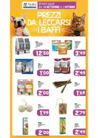 Volantino Ayoka Pagina 14