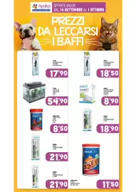 Volantino Ayoka Pagina 15