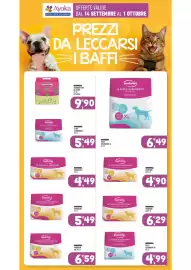 Volantino Ayoka Pagina 17