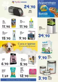 Volantino Ayoka Pagina 7