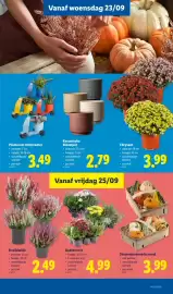 Lidl folder week 39 Pagina 19