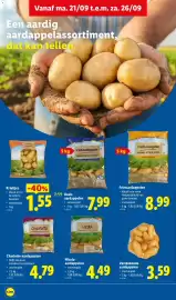 Lidl folder week 39 Pagina 2