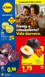 Volantino Lidl settimana 38 Pagina 1: Mele Golden Alto Adige IGP XXL €2,99, Susine XXL €1,79