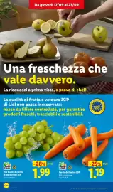 Volantino Lidl settimana 38 Pagina 4: Uva bianca da tavola di Mazzarrone IGP €1,99, Carote del Fucino IGP €1,19
