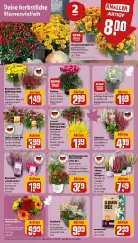 REWE Prospekt woche 38 Seite 5