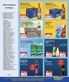 Bilgro Prospekt Seite 8