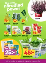 City Gross reklamblad vecka 38 Sida 3: Haricots verts, Vaxbönor €19,95, Spenat i påse €14,95