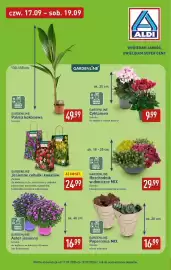 ALDI gazetka tydzień 38 Strona 31: GARDENLINE Rozchodnik w doniczce MIX €29,99, GARDENLINE Cyklamen €9,99