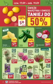 ALDI gazetka tydzień 38 Strona 32: Cukinia €4,99, Pitaja smoczy owoc €19,99