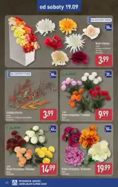 ALDI gazetka tydzień 38 Strona 42: Bukiet chryzantem €19,99, JUMI Bukiet chryzantem €14,99