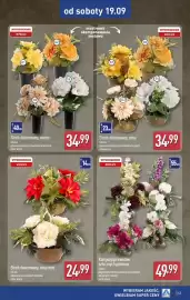 ALDI gazetka tydzień 38 Strona 43: Sztuka Stroik dekorowany, misa mini €24,99, Kompozycja kwiatów sztucznych premium €49,99