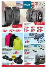 Multi Markt Prospekt woche 38 Seite 17