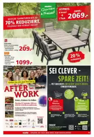 Multi Markt Prospekt woche 38 Seite 19