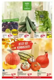 Multi Markt Prospekt woche 38 Seite 7