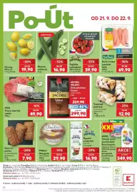 Kaufland leták týden 38 Strana 52: Ariel tekutý prací prostředek prací kapsle japanesse blossom €349,90