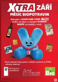 Kaufland leták týden 38 Strana 54
