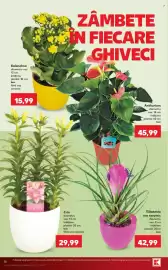 Catalog Kaufland săptămâna 38 Pagină 16