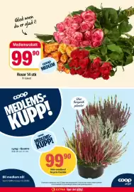 Coop Extra kundeavis uke 38 Side 29