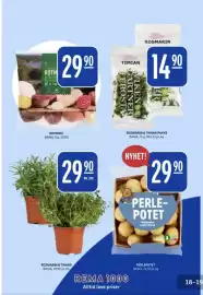 Rema 1000 kundeavis uke 38 Side 18: ROSMARIN & TIMIAN €29,90, ROSMARIN & TIMIAN PAKKE €14,90