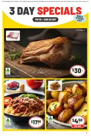 IGA catalogue Page 1