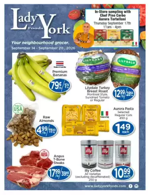 Lady York (valid until 20-09)