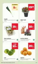 Hemköp reklamblad vecka 38 Sida 5: Morötter, Rödbetor €10,00, Apelsiner €20,00