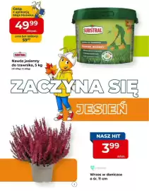 Mrówka gazetka Strona 2