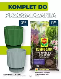 Mrówka gazetka Strona 3
