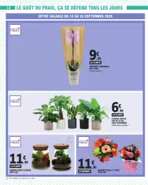 Catalogue E.Leclerc semaine 38 page 32: Quartier Fleurs LA PLANTE €11,90, Quartier Fleurs LE BOUQUET €11,90