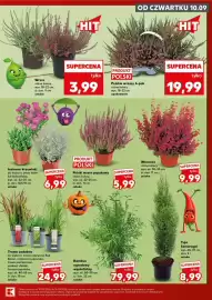 Kaufland gazetka Strona 7