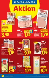 Lidl Flugblatt woche 38 Seite 10