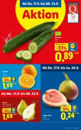 Lidl Flugblatt woche 38 Seite 38