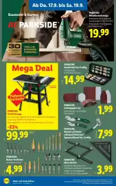 Lidl Flugblatt woche 38 Seite 22