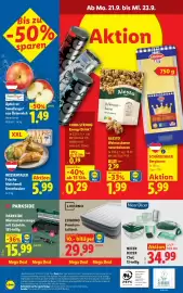 Lidl Flugblatt woche 38 Seite 29