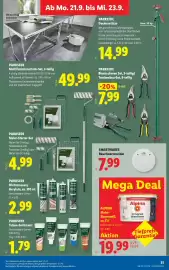 Lidl Flugblatt woche 38 Seite 36