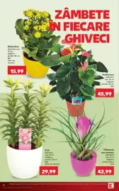 Catalog Kaufland săptămâna 38 Pagină 16