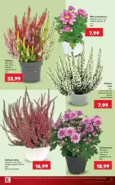 Catalog Kaufland săptămâna 38 Pagină 17