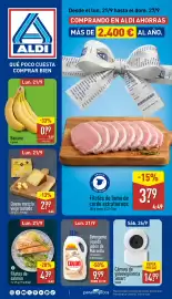 Folleto ALDI semana 39 Página 1: Queso mezcla viejo tostado €2,99, Filetes de salmón €4,39
