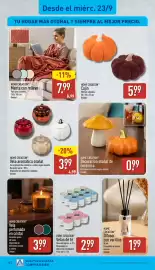 Folleto ALDI semana 39 Página 16: Home Creation decoración otoñal de cerámica €0,99, Home Creation manta con relieve €7,99