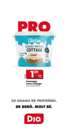 Folleto Dia semana 38 Página 9: Dia Láctea queso fresco cottage €1,39
